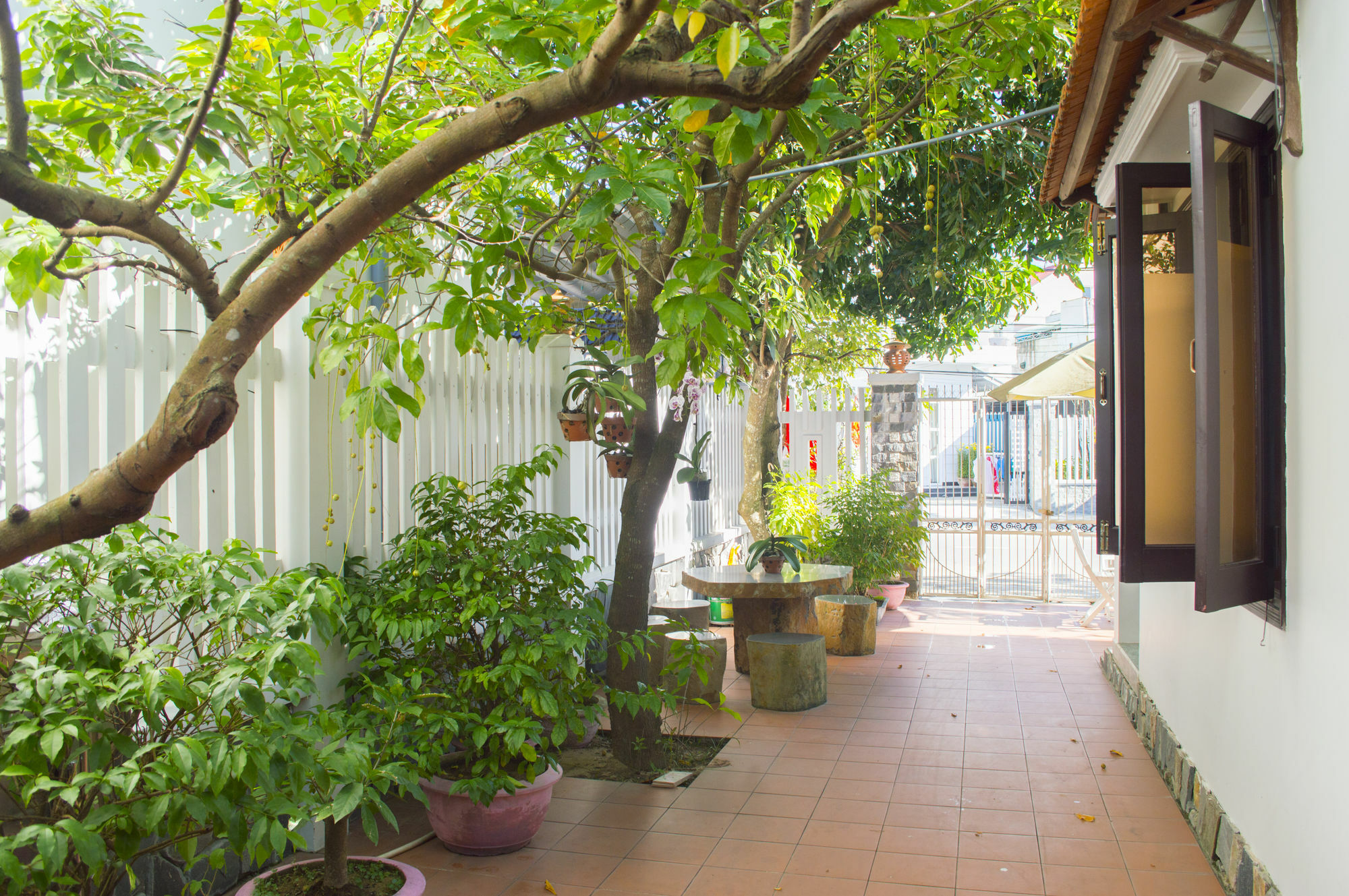 Halo Homestay Hoi An Exteriör bild