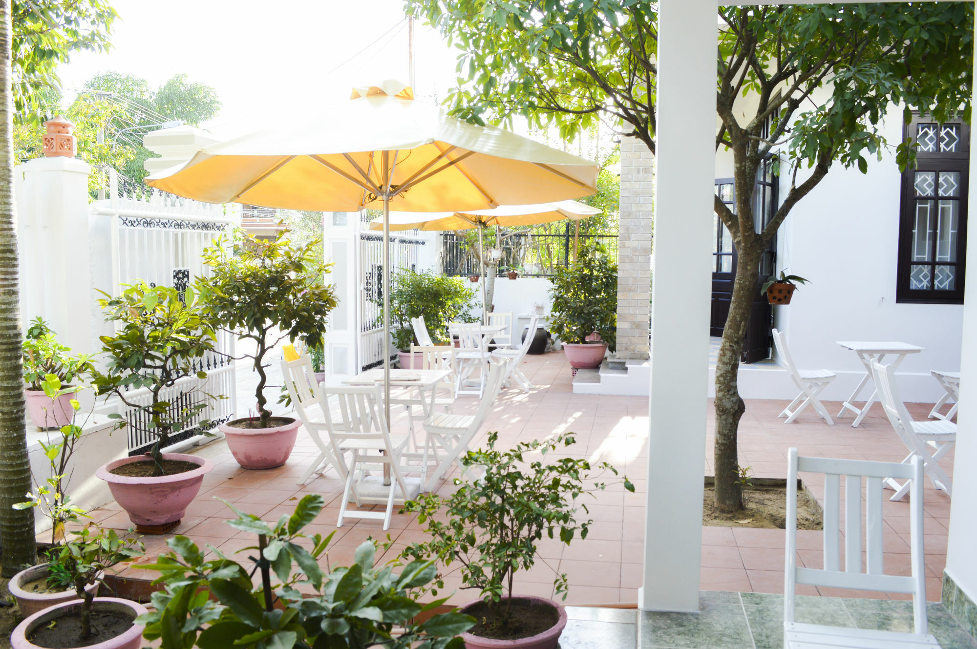 Halo Homestay Hoi An Exteriör bild