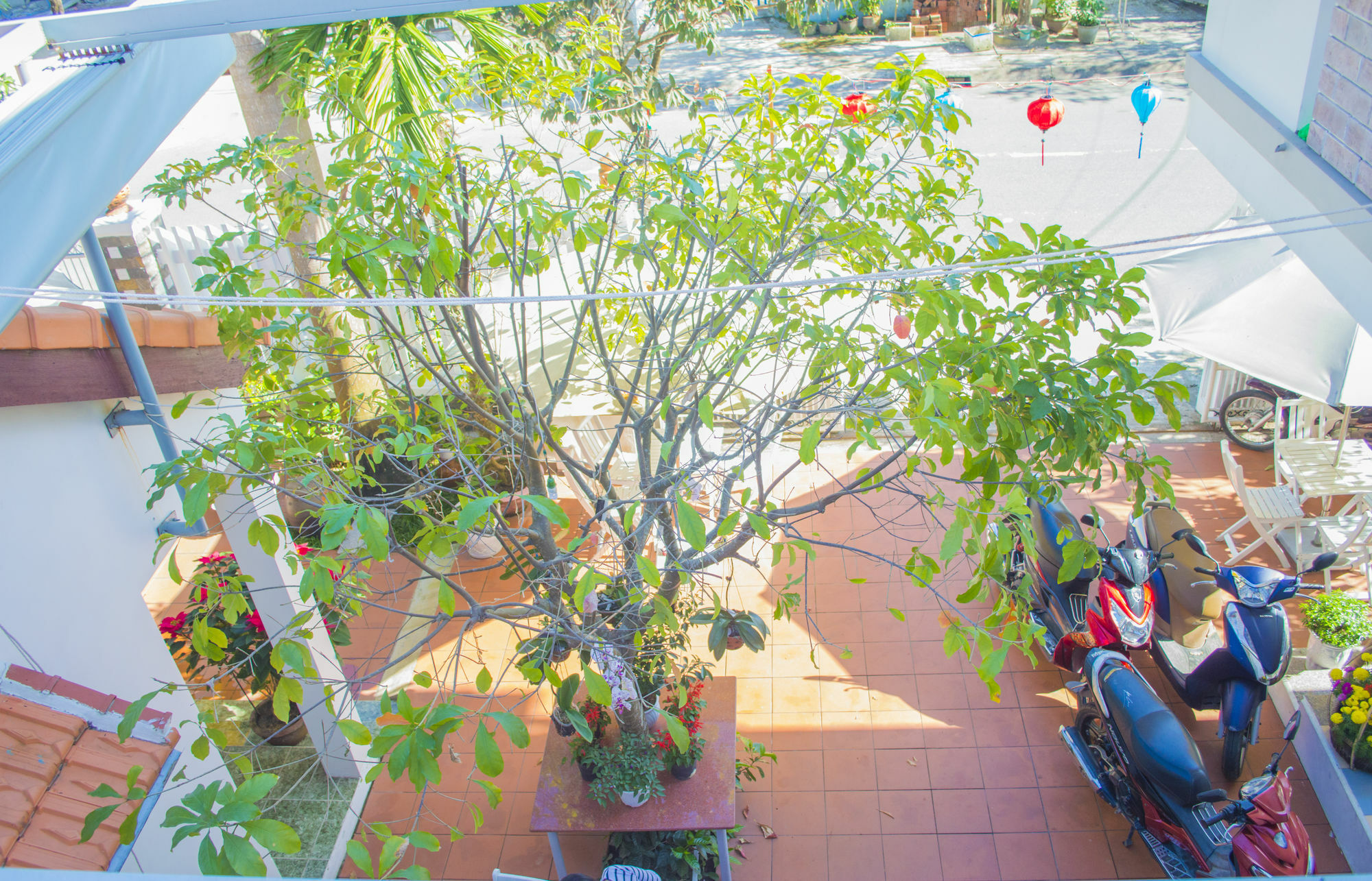 Halo Homestay Hoi An Exteriör bild